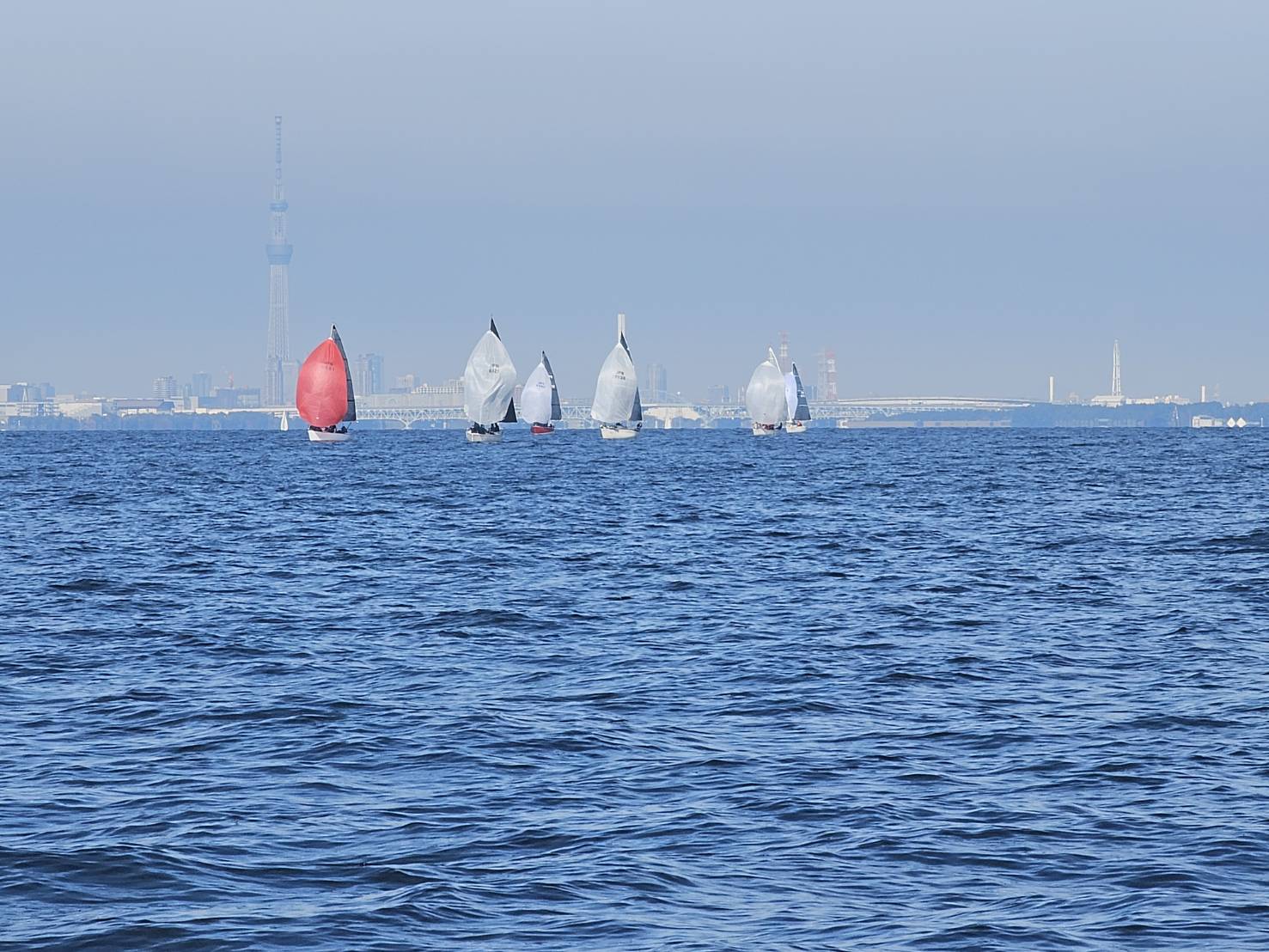 大会4日目　第6レース